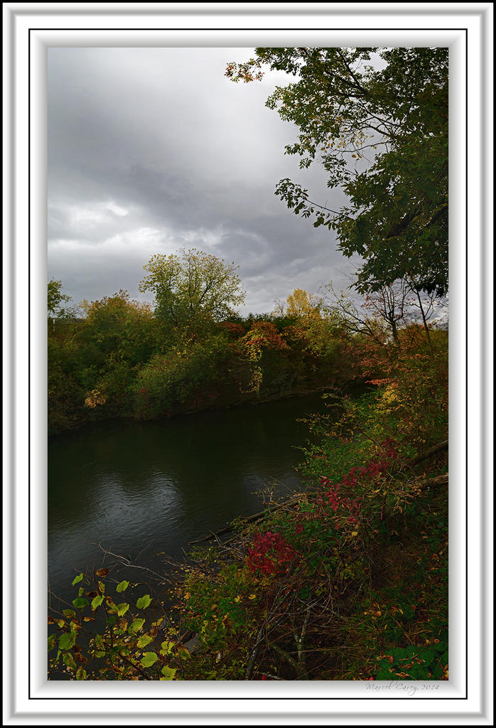 gorge pano vertical.jpg