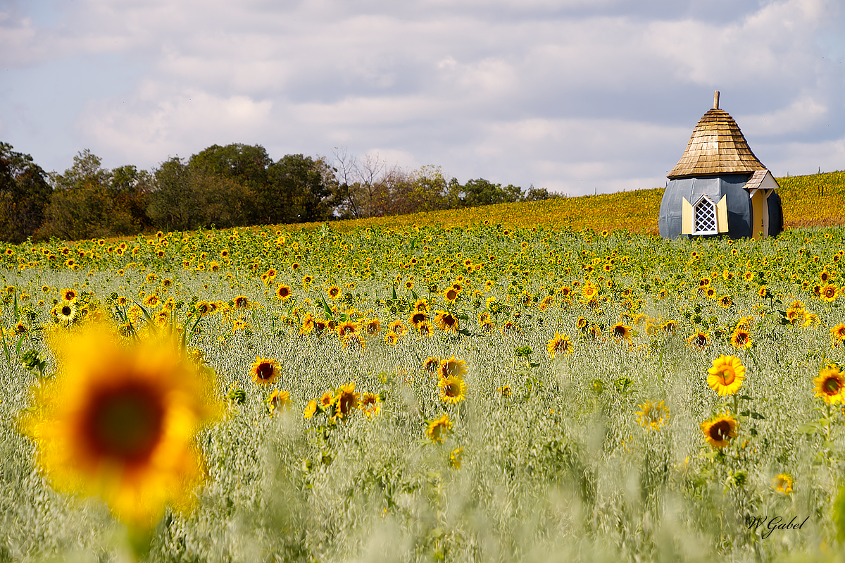 Gourd house sm.jpg
