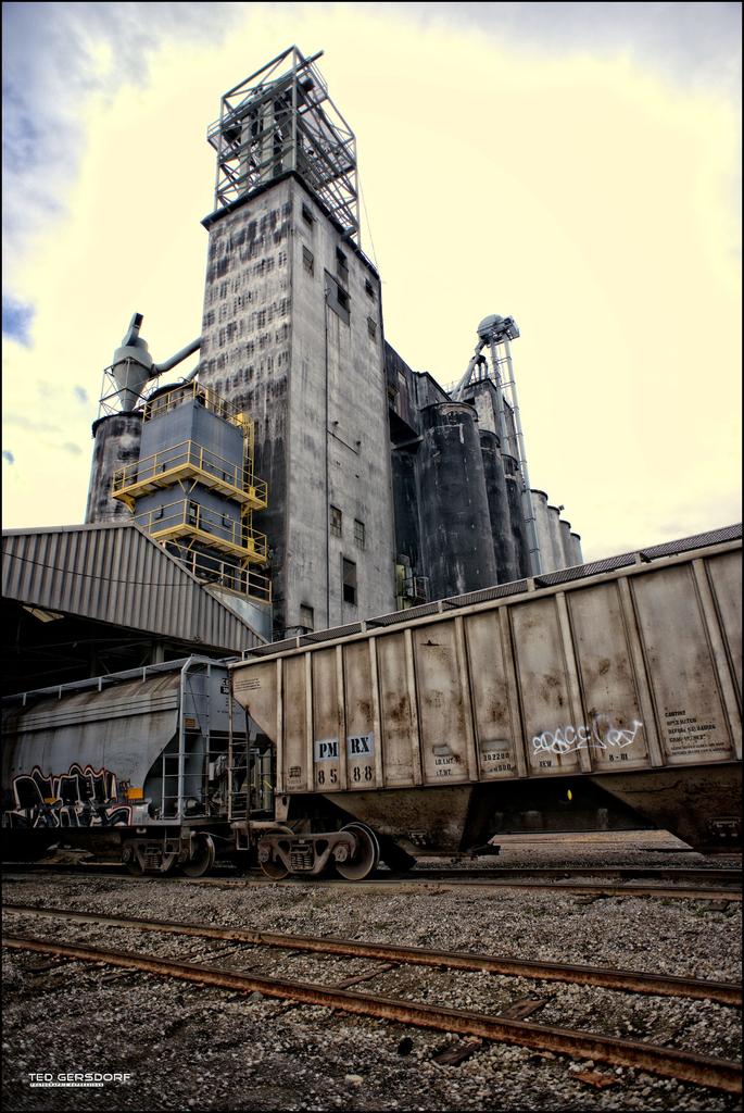 Grafton Grain Cars.jpg