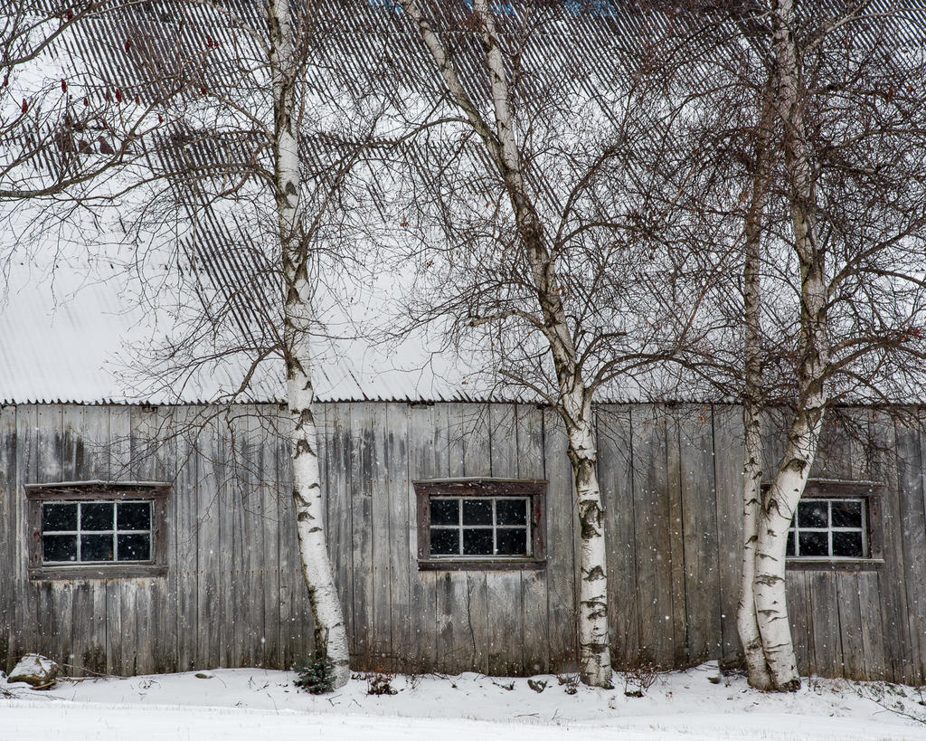 grange-3662.jpg