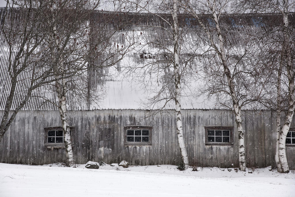 grange-3665.jpg