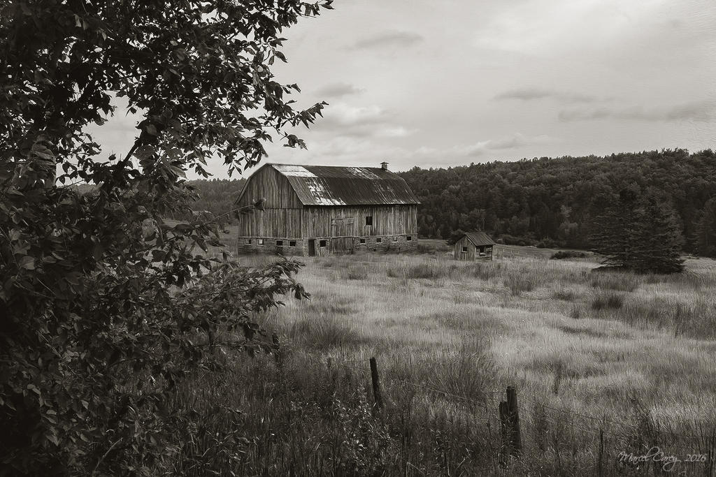 grange copy.jpg