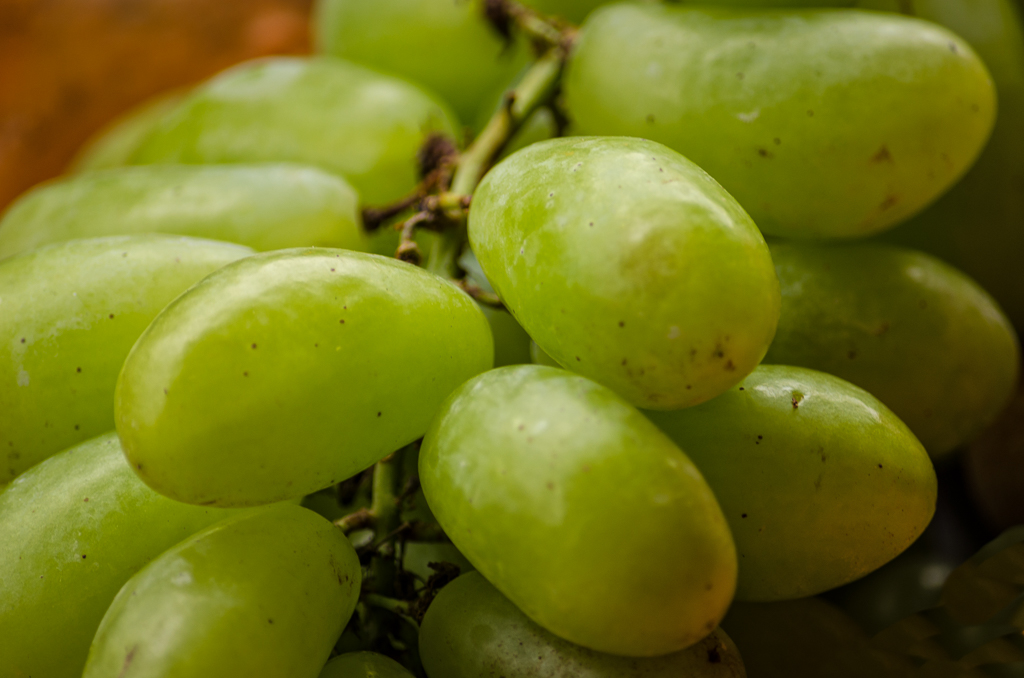 grapes-1.jpg