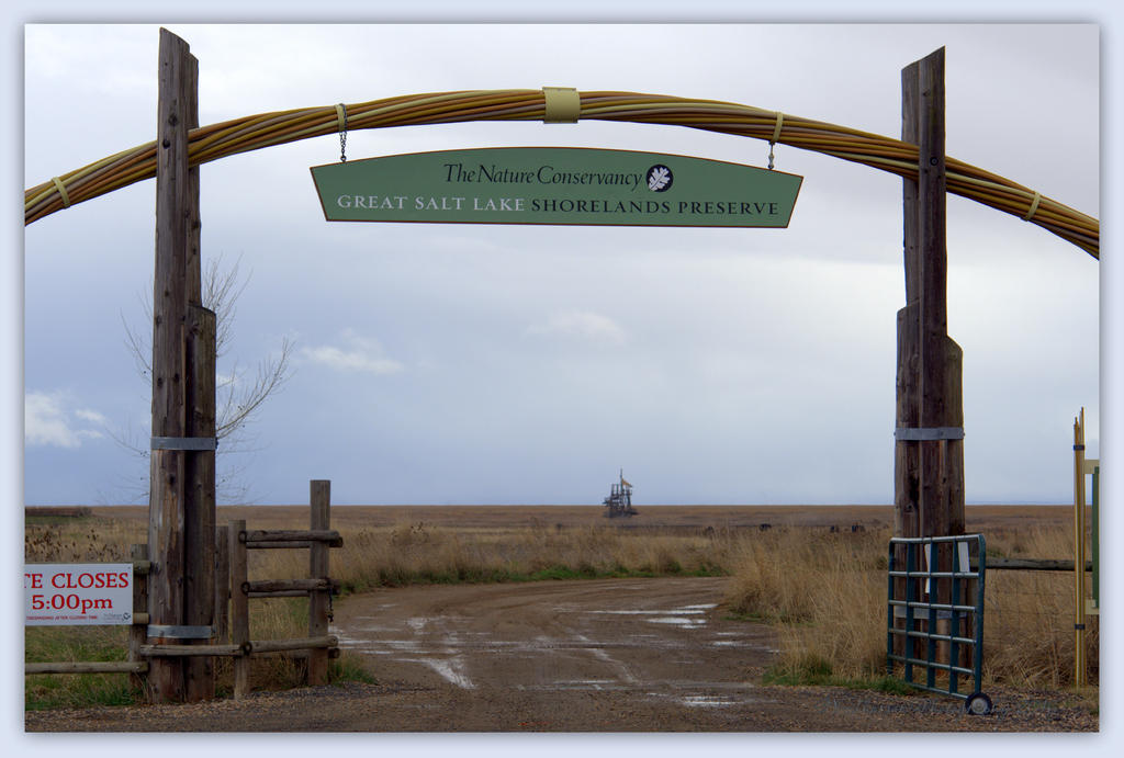 Great Salt Lake Shorelands Preserve 3-22-2016.jpg
