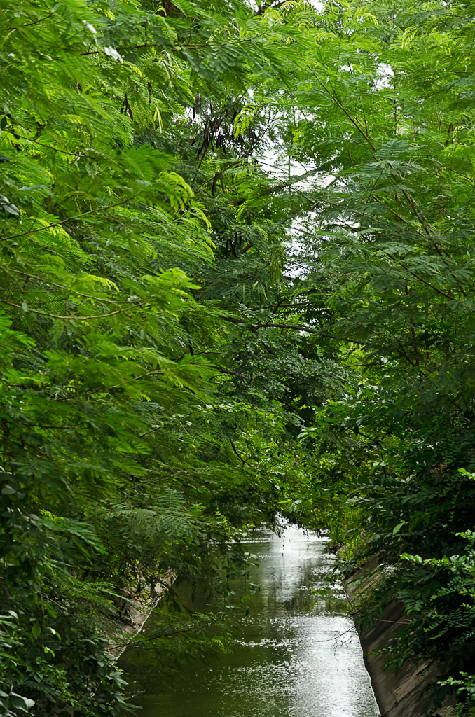 green-canal-1.jpg