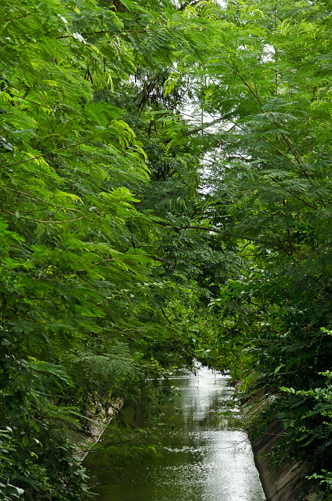 green-canal-1.jpg