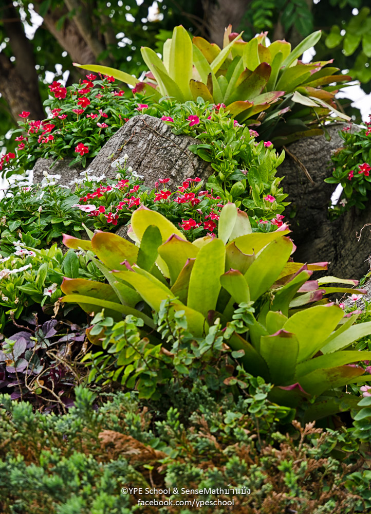 greens-1.jpg
