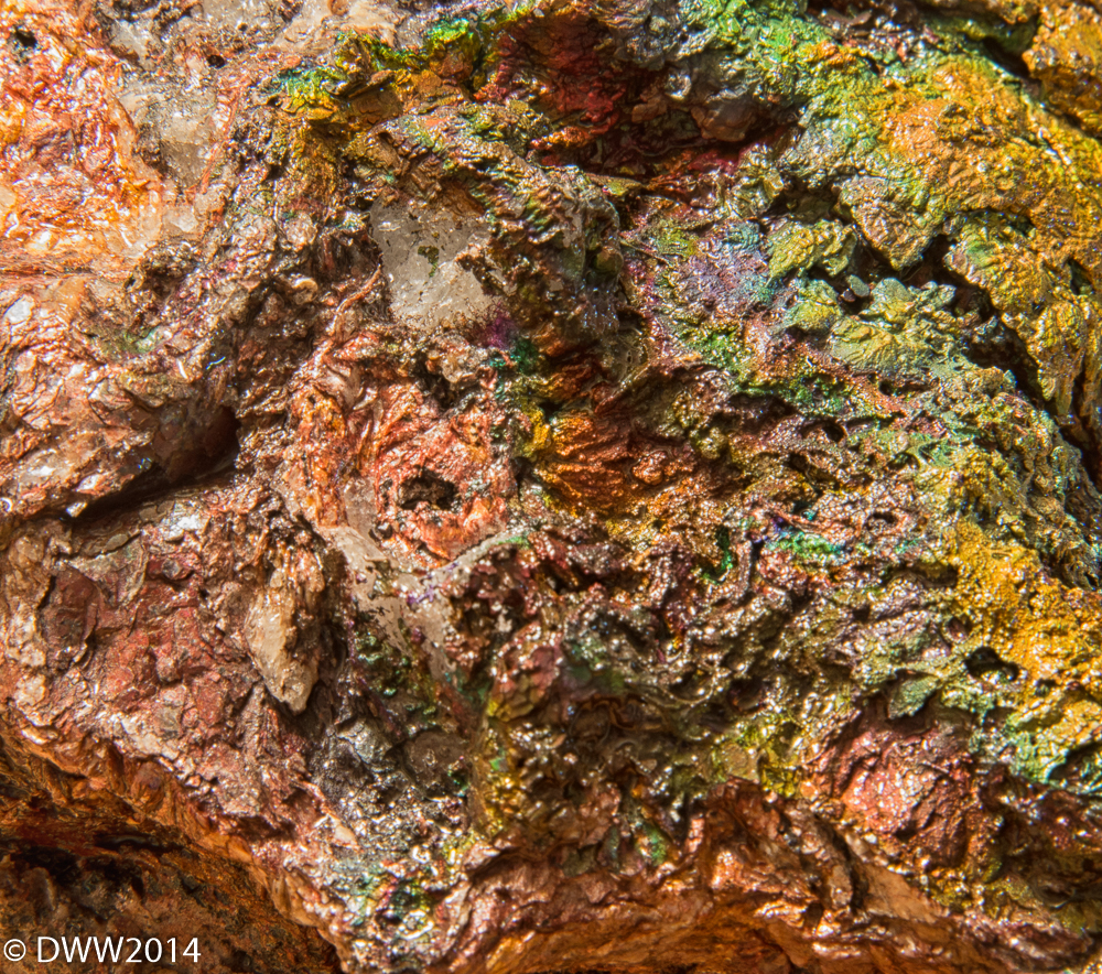 Greens (1 of 1).jpg