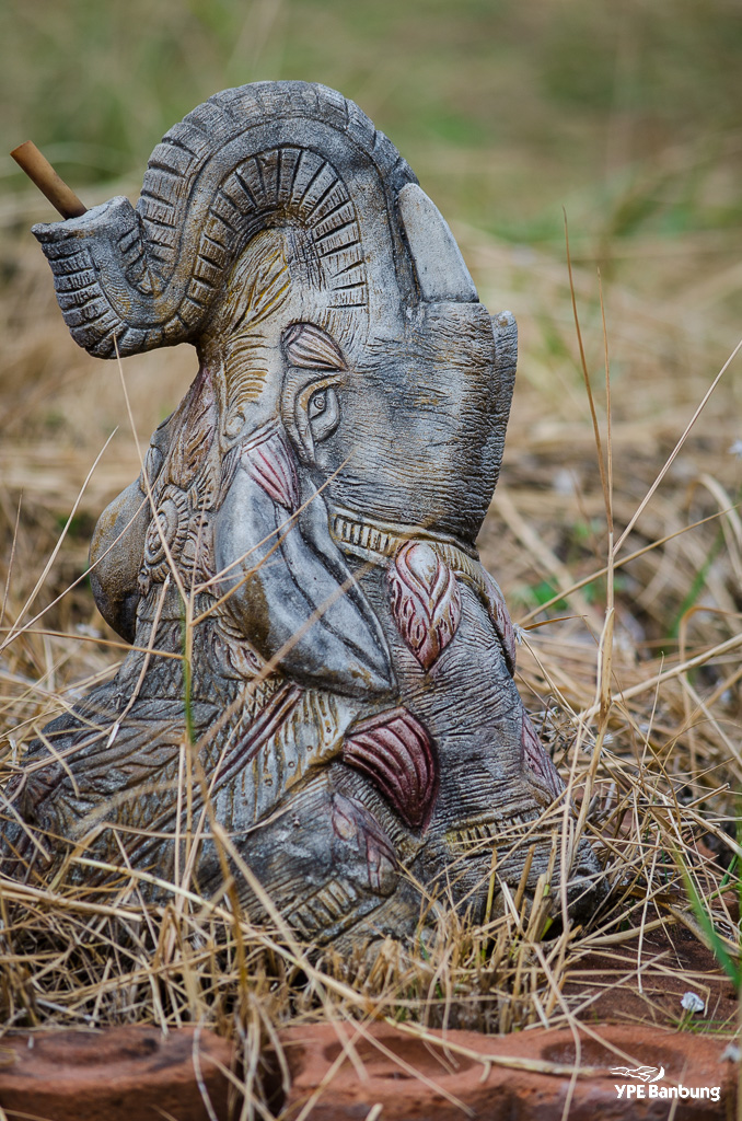 grey-elephant-1.jpg