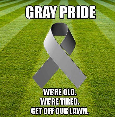 grey pride.jpg
