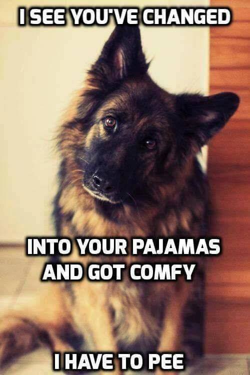 gsd.jpg