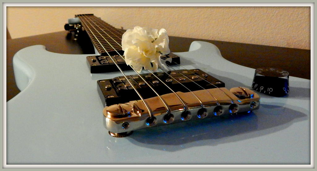 Guitar with Carnation.jpg