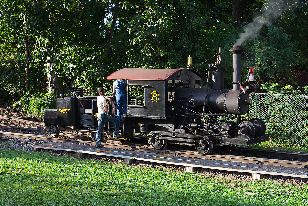 GypsyNumber8_3912 sm.jpg
