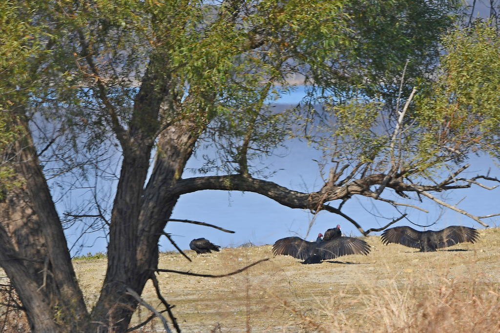 Hagerman NWR sm_00002.jpg
