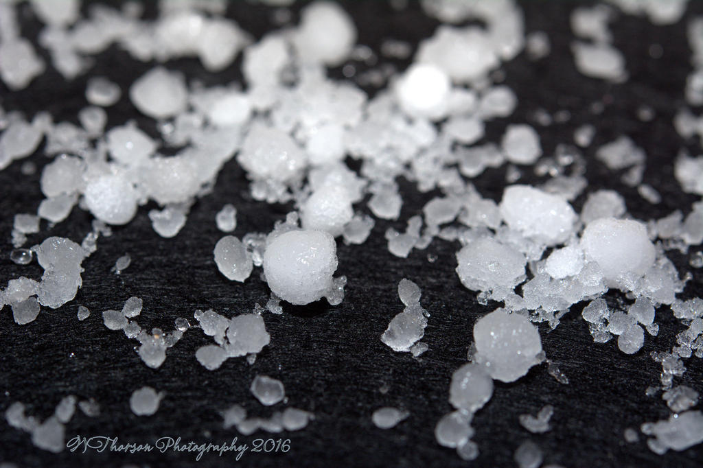 Hail #2 12-16-2016.jpg