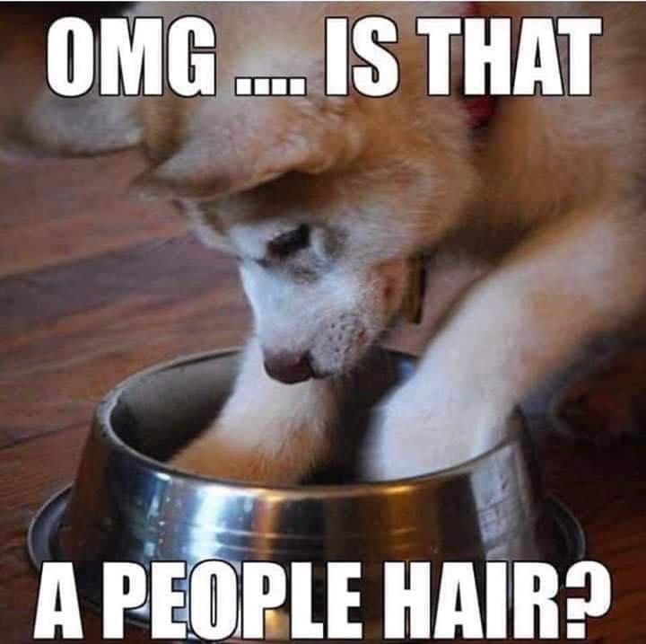 hair.jpg