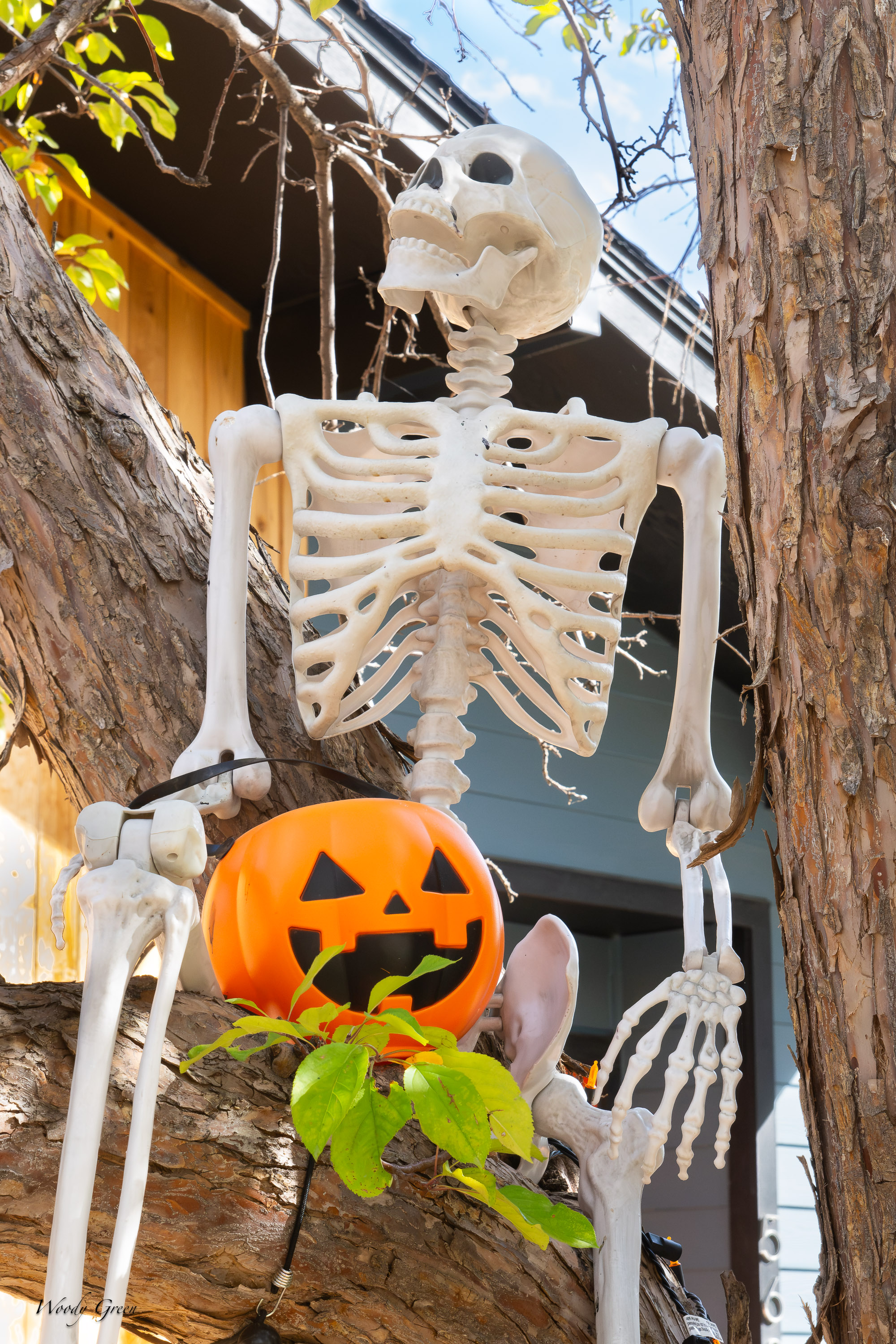 Halloween-758.jpg