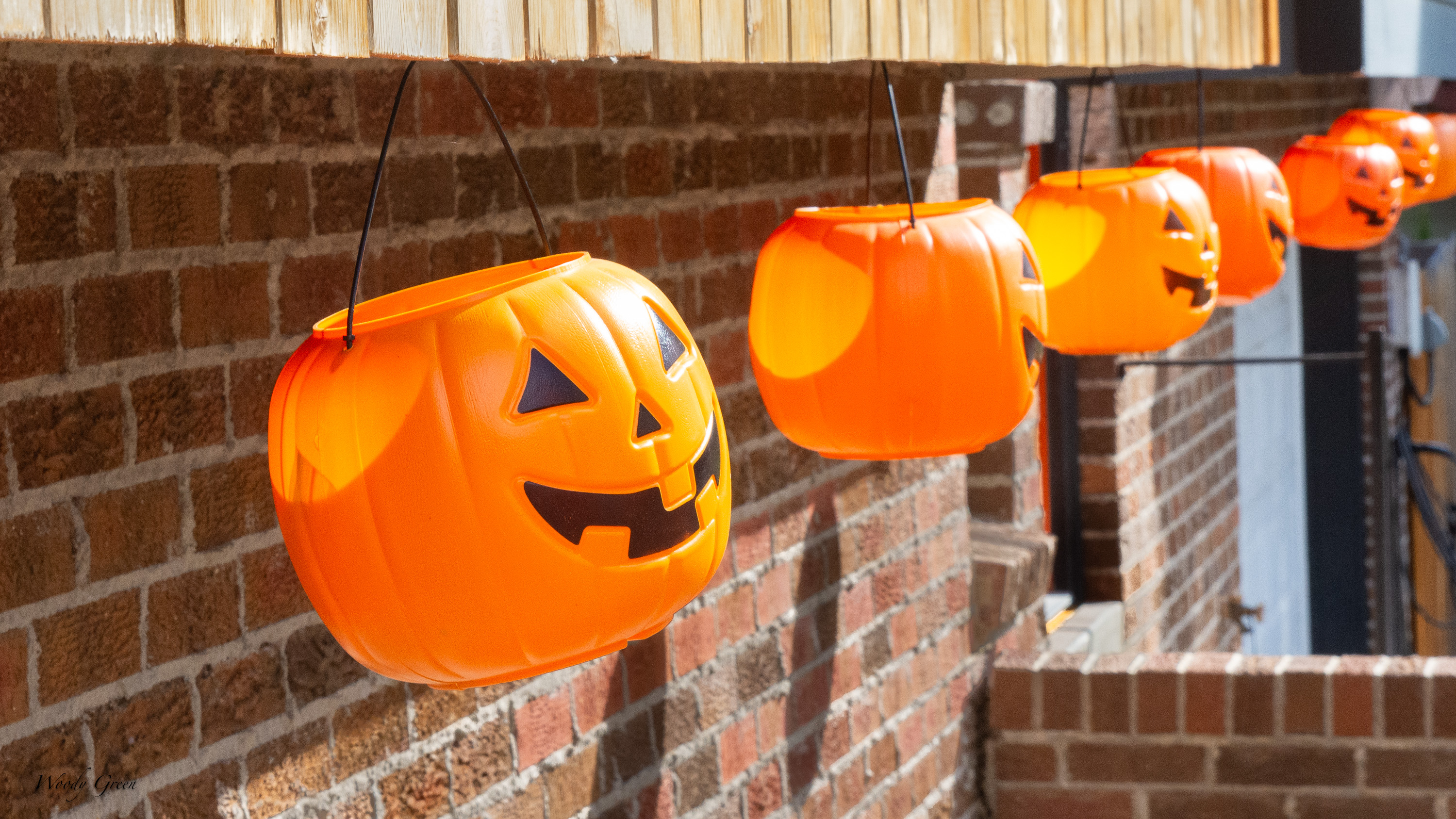 Halloween-759.jpg