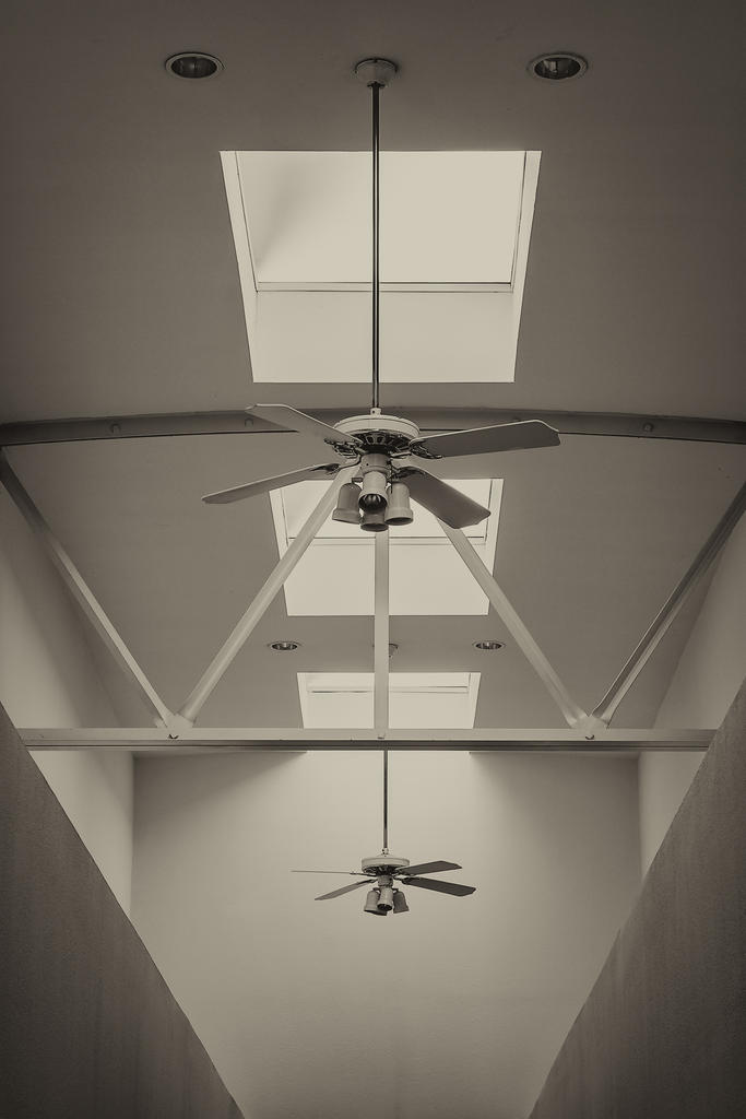 Hallway #1.jpg