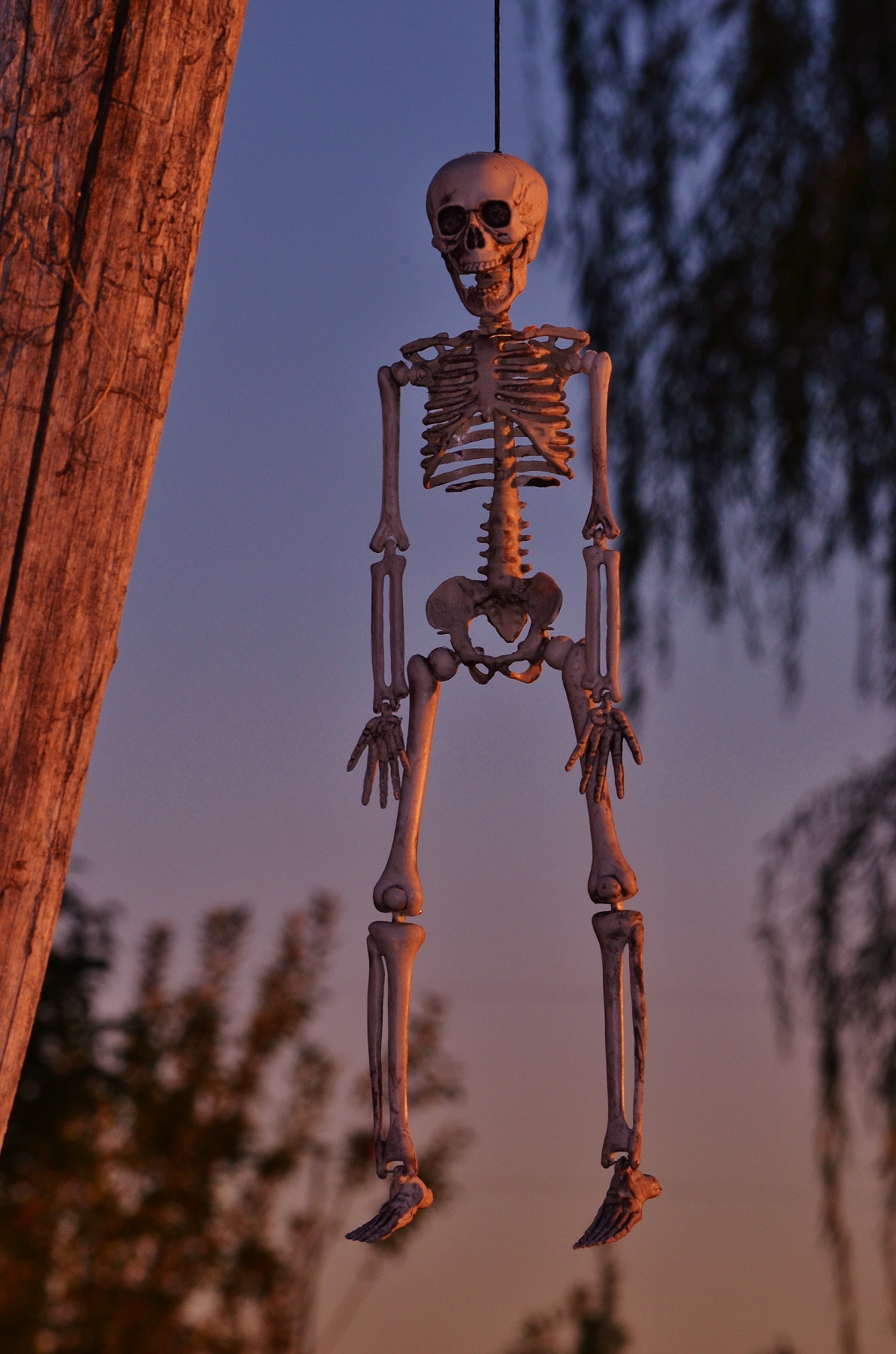 hang 113 (1192x1800).jpg