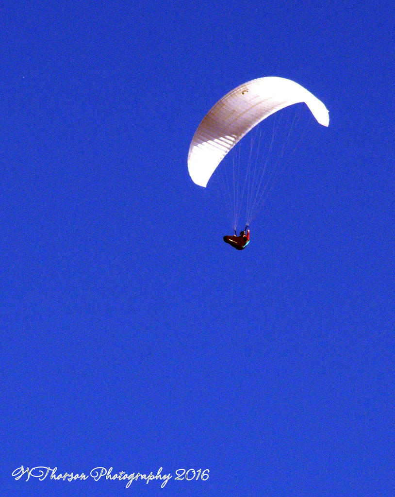 Hang Gliders #2 8-28-2016.jpg