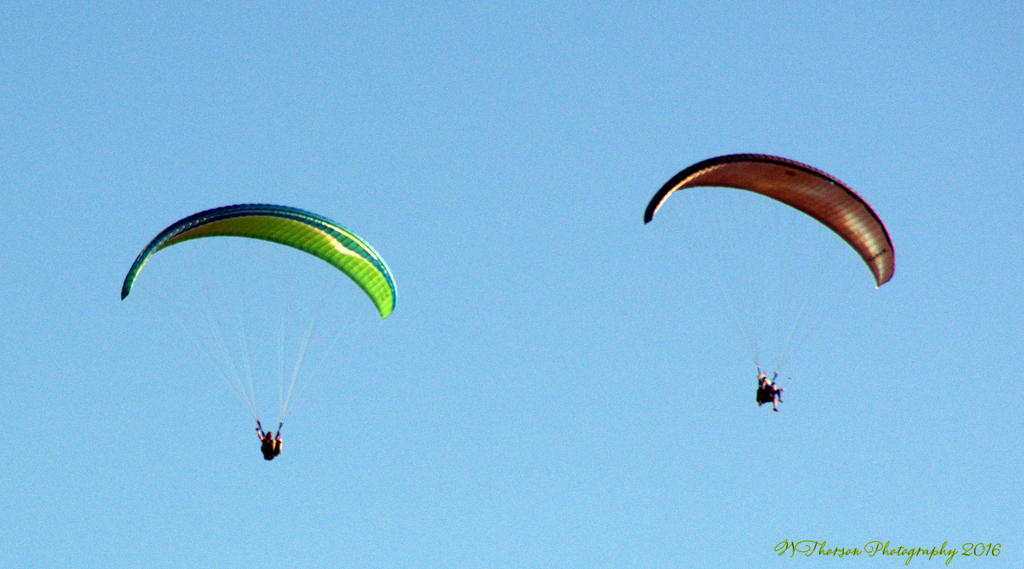 Hang Gliders #5 8-28-2016.jpg