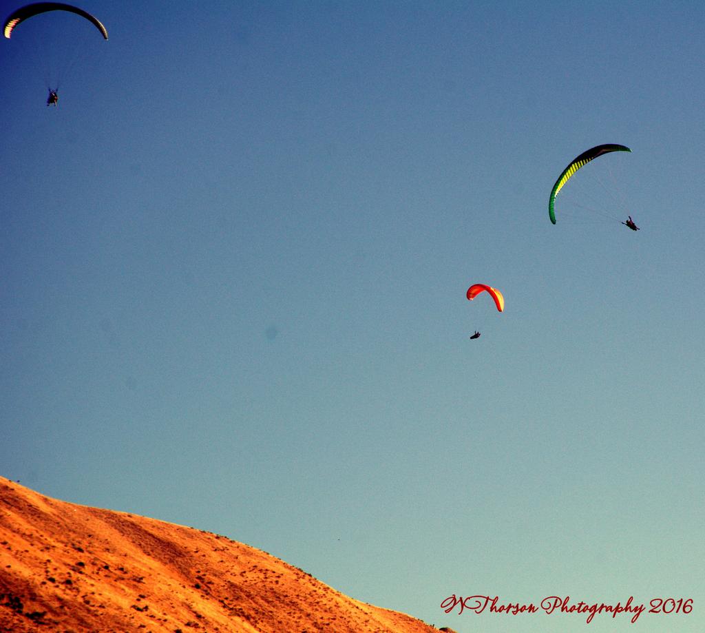 Hang Gliders #8 8-28-2016.jpg