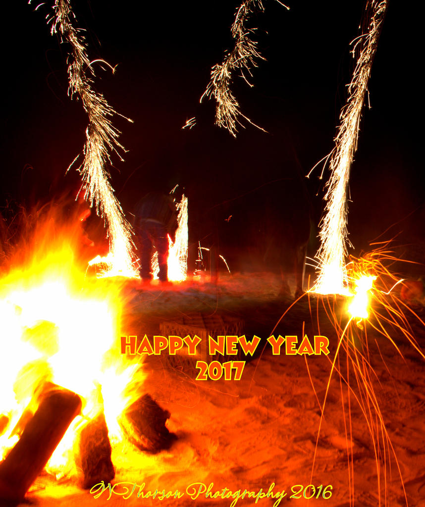 Happy New Year 2017.jpg