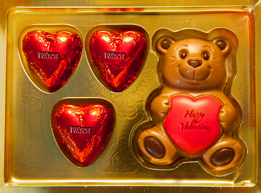 Happy Valentine Nikonites.jpg