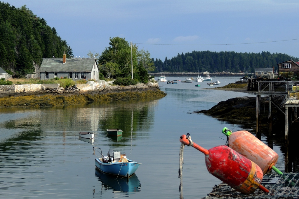 Harbor.jpg