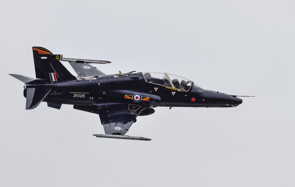 hawk.jpg