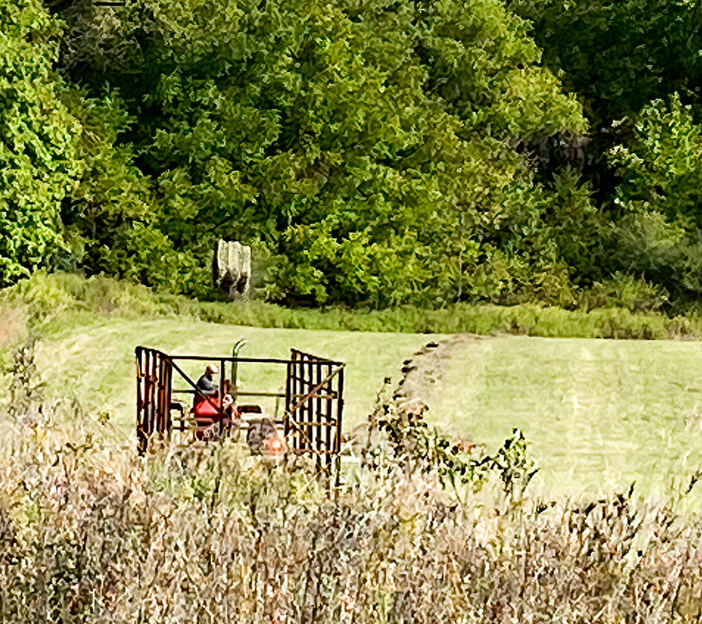 Hay Toss 4 (1 of 1).jpg