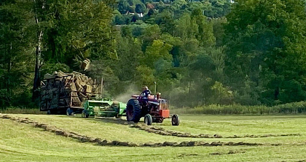 Hay Toss 5 (1 of 1).jpg
