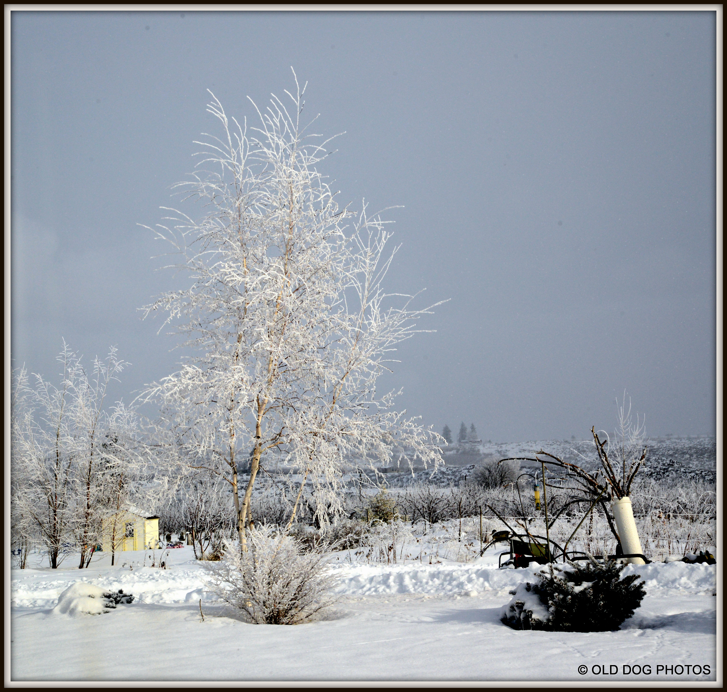 HDR 047-001.JPG