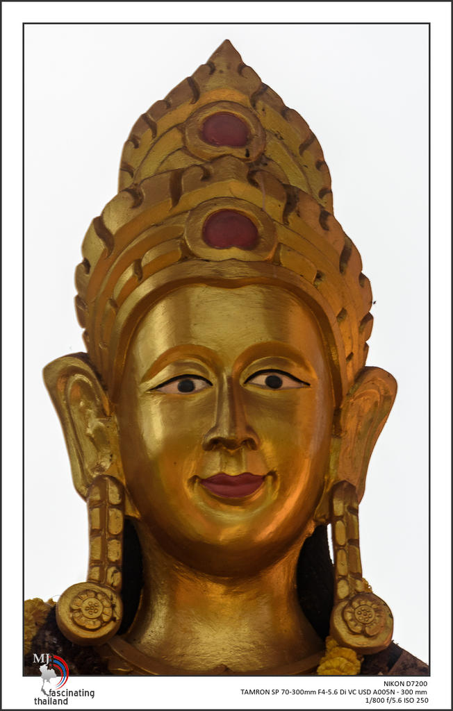 head-1-2.jpg