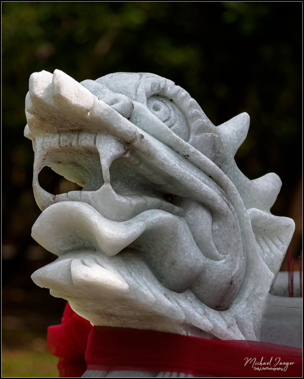 head-1-2.jpg