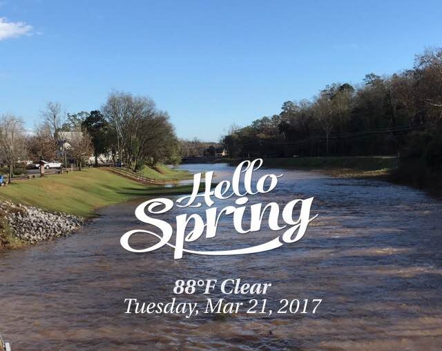 hello spring.jpg