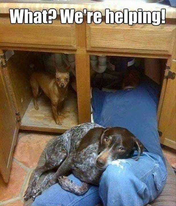 help.jpg