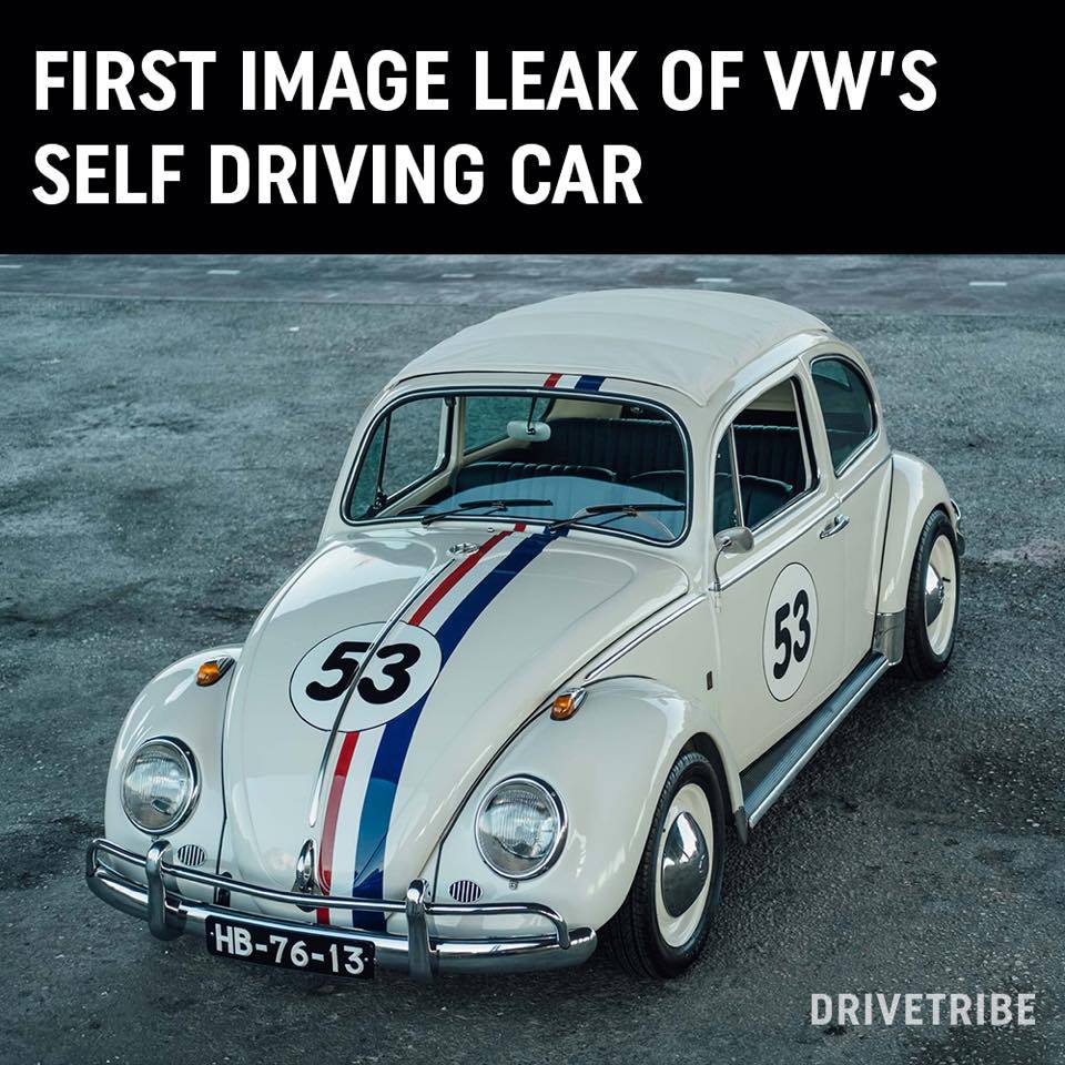 herbie.jpg