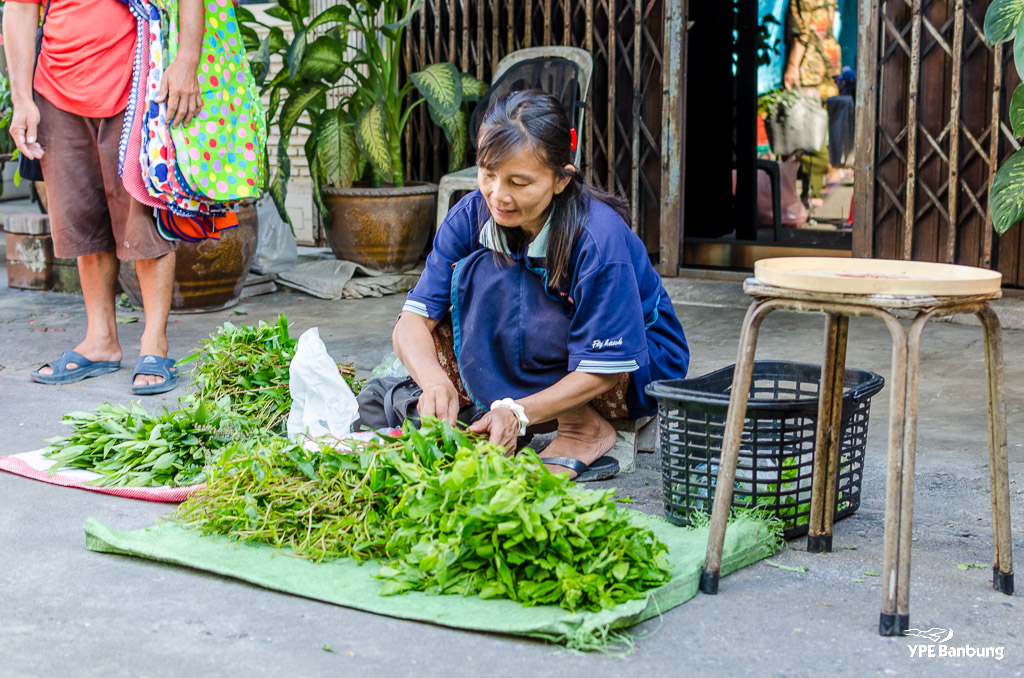 herbs-1.jpg