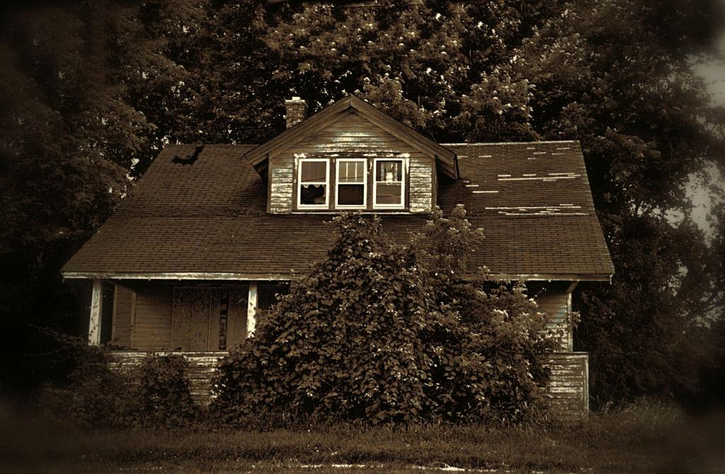 hidden house bat.jpg