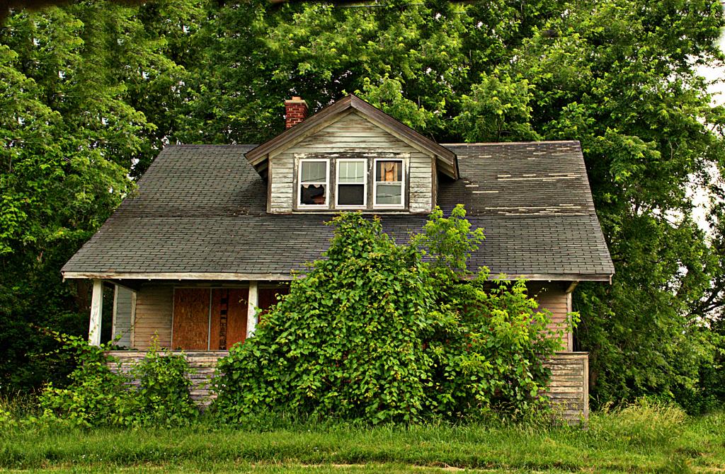 hidden house.jpg