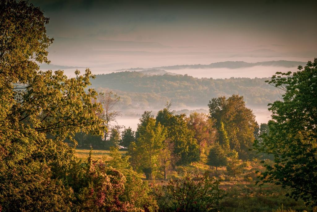 High Breeze Farm Morning Fog resize.jpg
