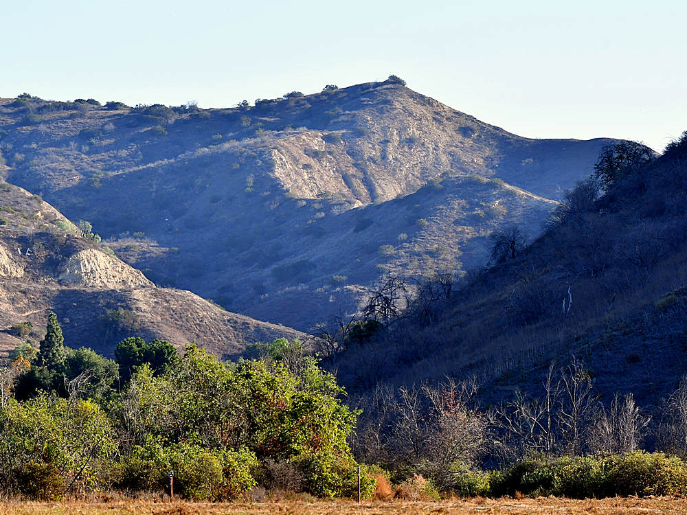 Hill2.jpg