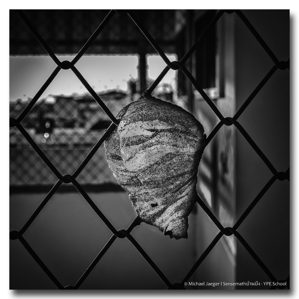 hive-bw.jpg