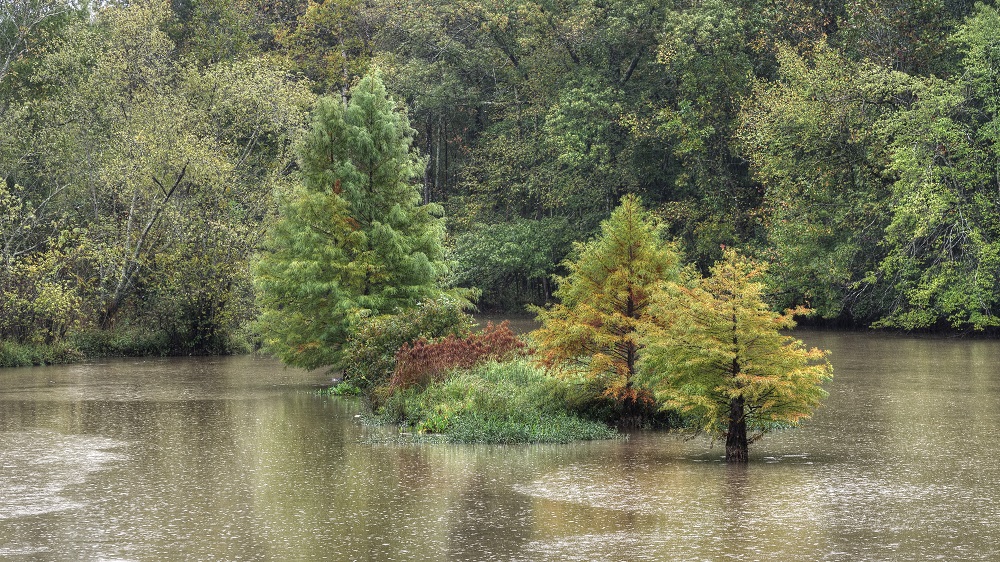 Hiwasee River -8-2.jpg
