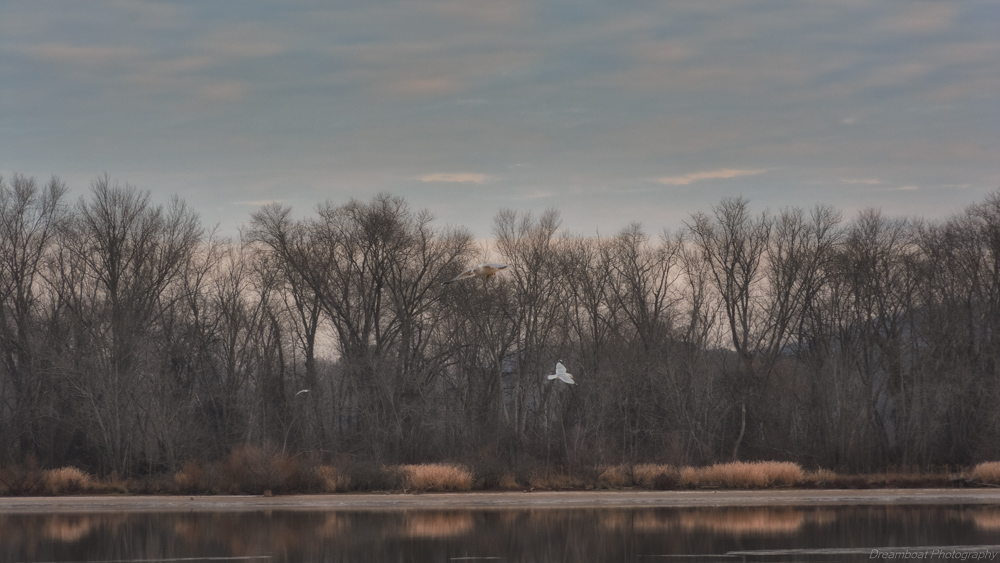 hiwassee river.jpg