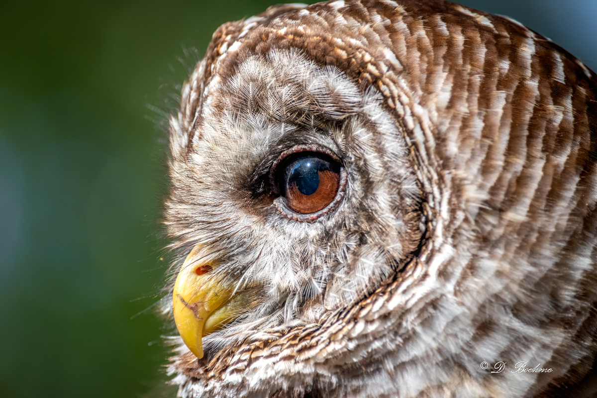 HJB_0211-topaz-denoise-sharpen-2.jpg