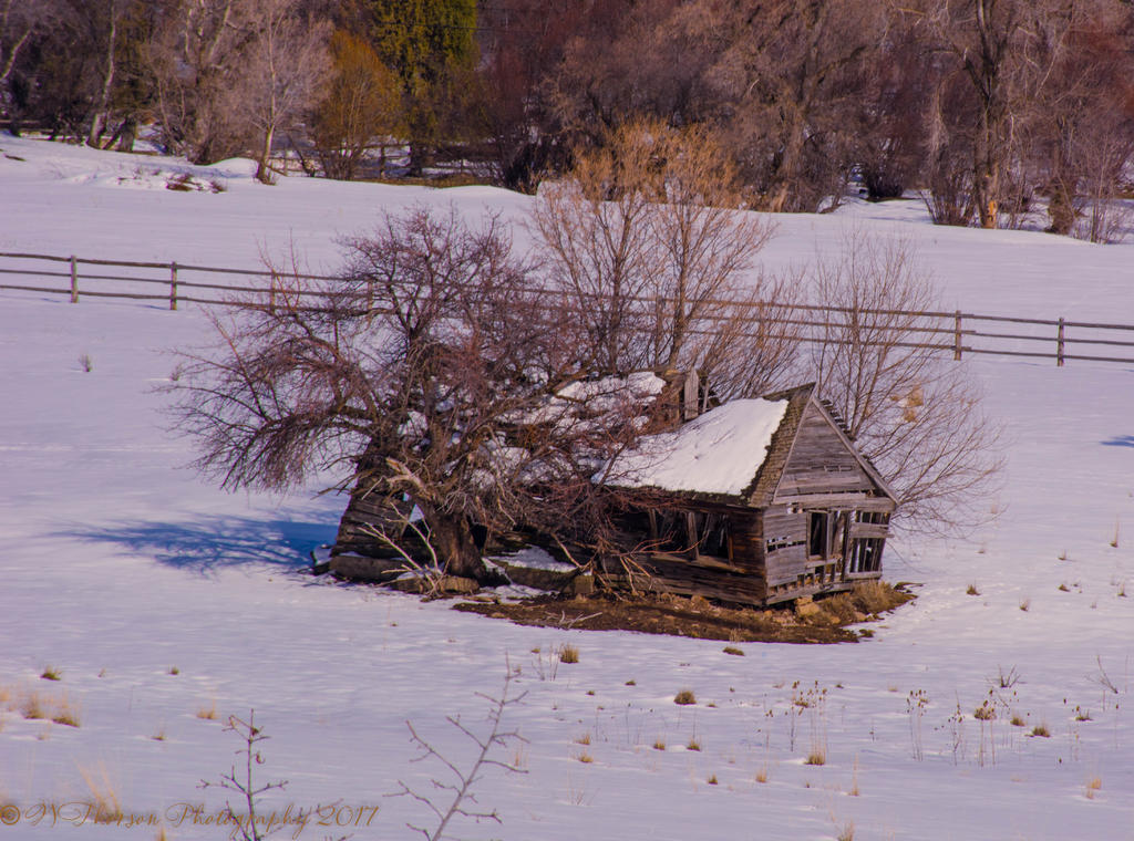 Hobble Creek Canyon Cabin #4 3-3-2017.jpg