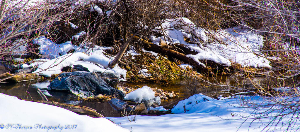 Hobble Creek Canyon Creek 3-3-2017.jpg